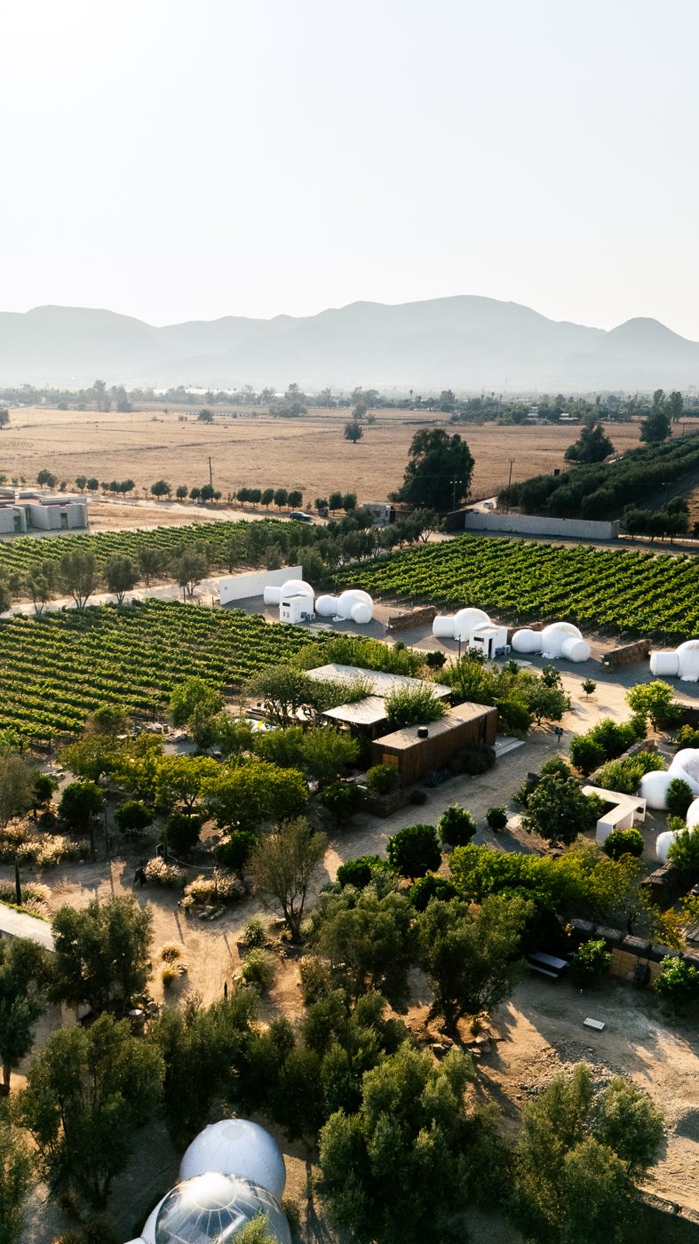 Estates en Valle de Guadalupe